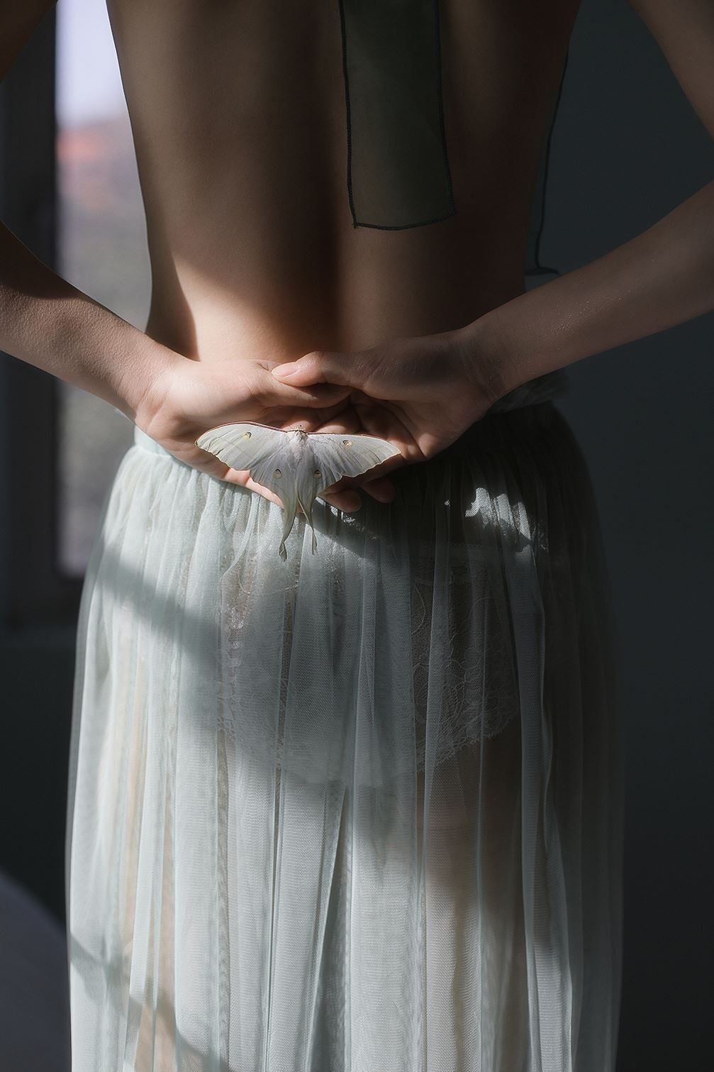 PDL潘多拉  2020.10.14 精品 No.267 光魅